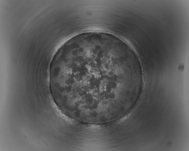 X0000111640839200907311250