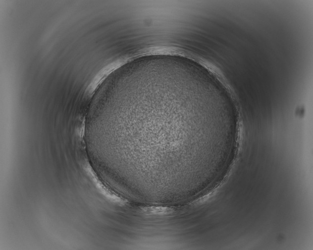 X0000111640841200907311250