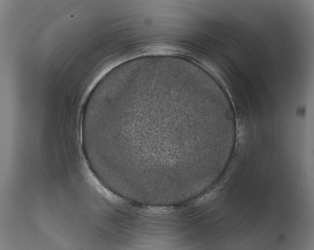 X0000111640843200907311250