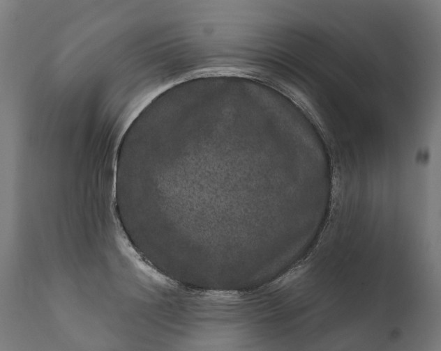 X0000111640844200907311250