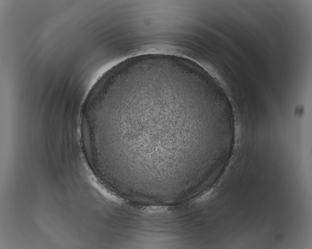 X0000111640846200907311250