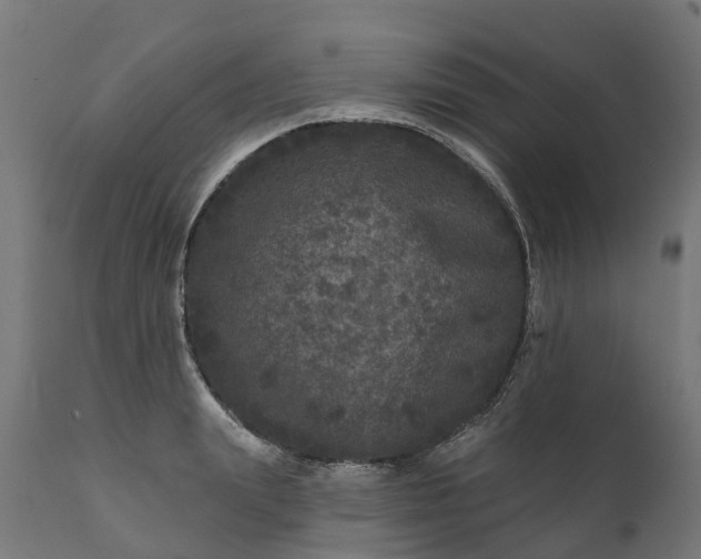 X0000111640847200907311250