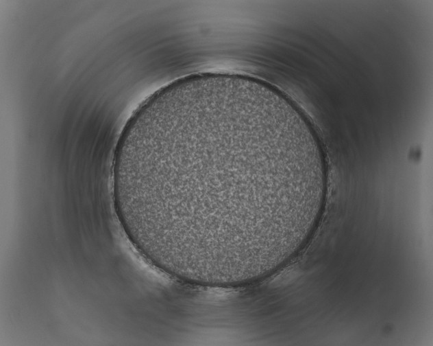 X0000111640848200907311250