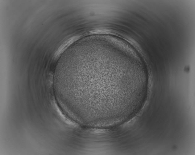 X0000111640849200907311250