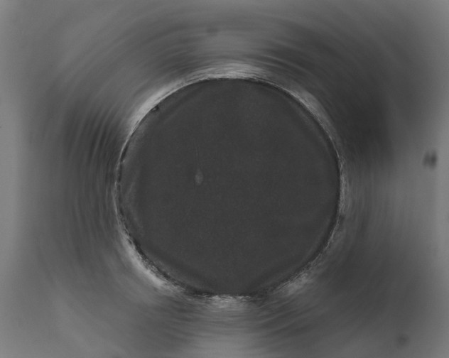 X0000111640850200907311250