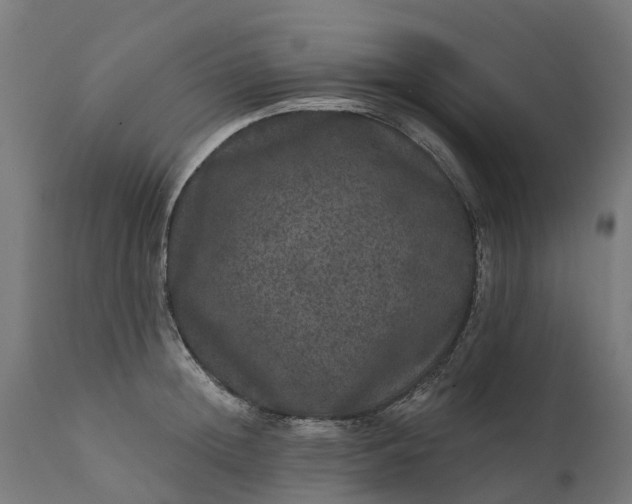 X0000111640852200907311250