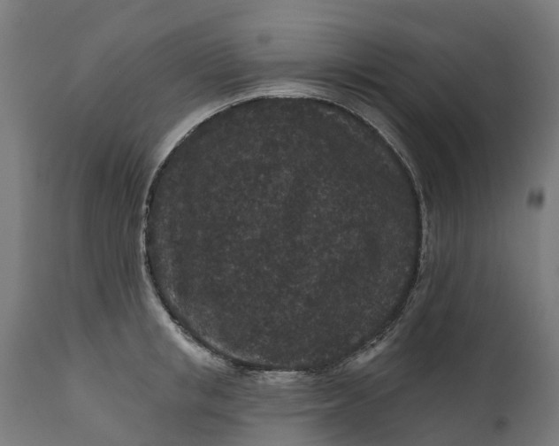 X0000111640853200907311250