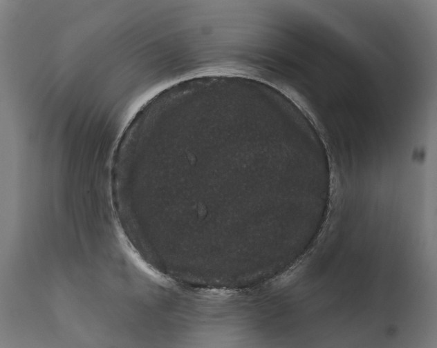 X0000111640854200907311250