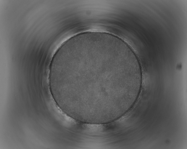 X0000111640856200907311250