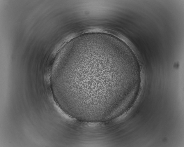 X0000111640857200907311250