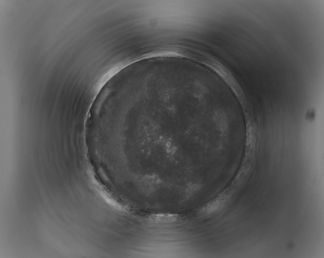 X0000111640858200907311250