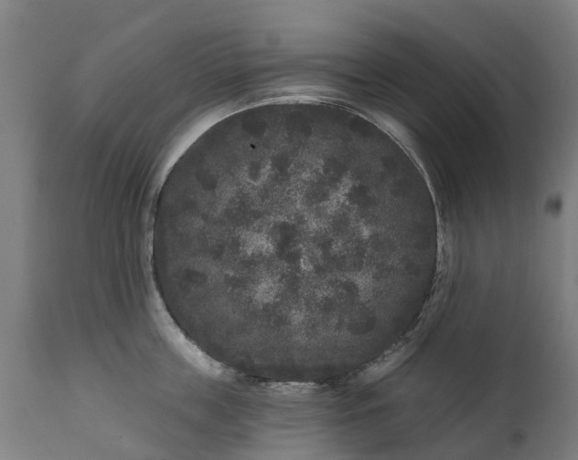 X0000111640859200907311250