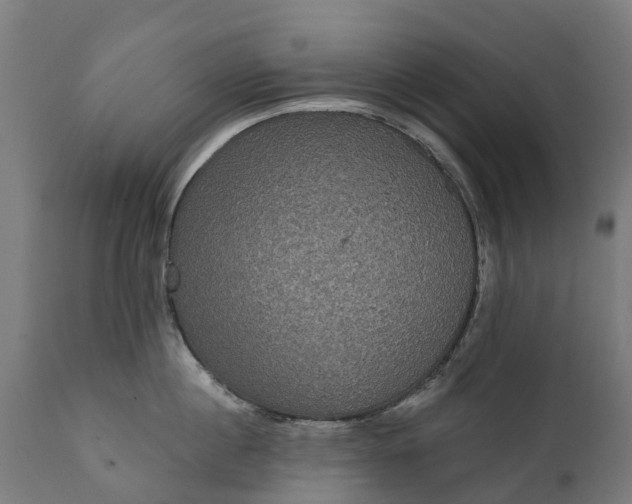 X0000111640860200907311250