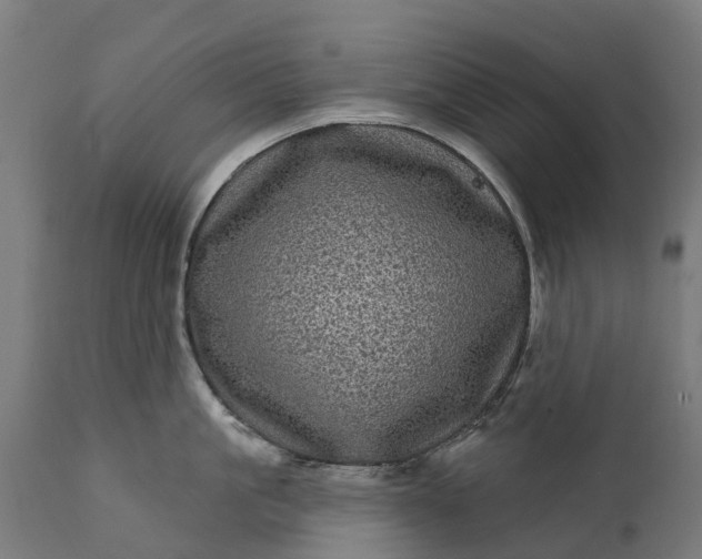 X0000111640861200907311250