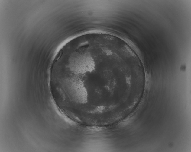 X0000111640862200907311250