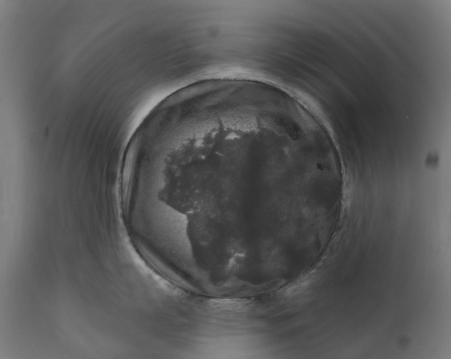 X0000111640863200907311250