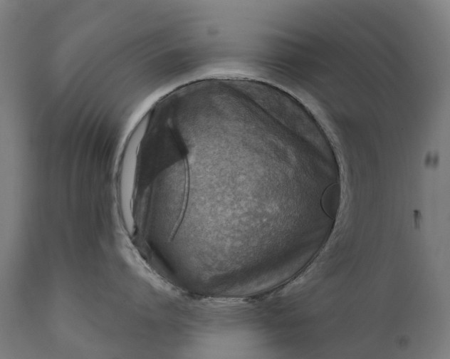 X0000111640864200907311250