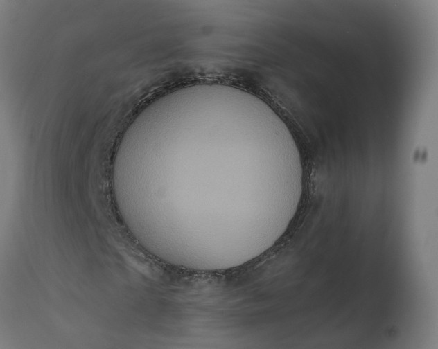 X0000111640865200907311249