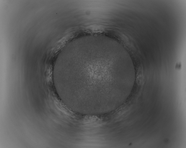 X0000111640866200907311249