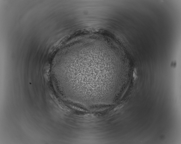 X0000111640867200907311249