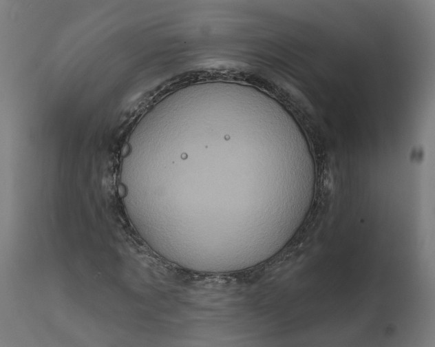 X0000111640869200907311249