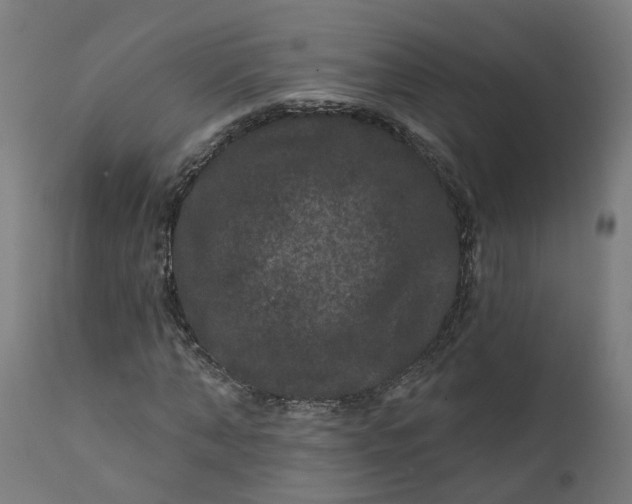 X0000111640870200907311249