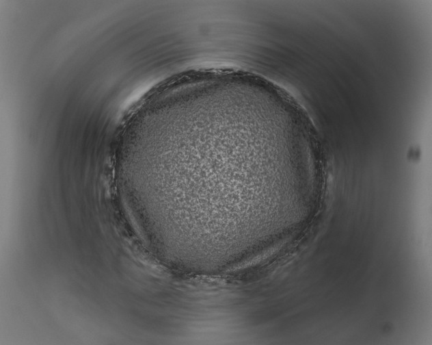 X0000111640871200907311249