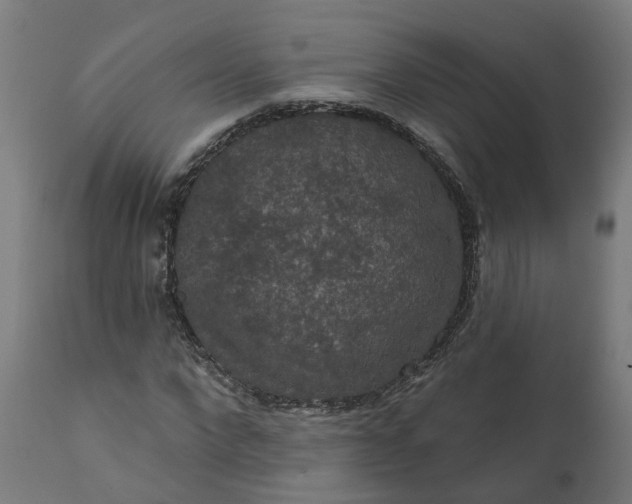 X0000111640872200907311249