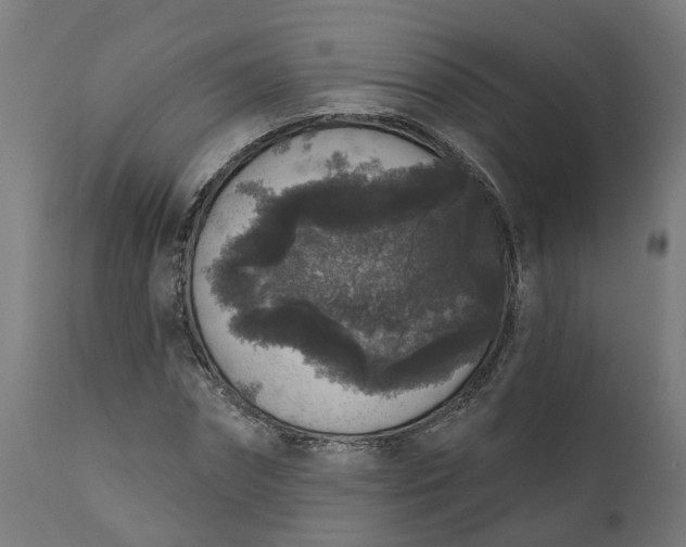 X0000111640874200907311249