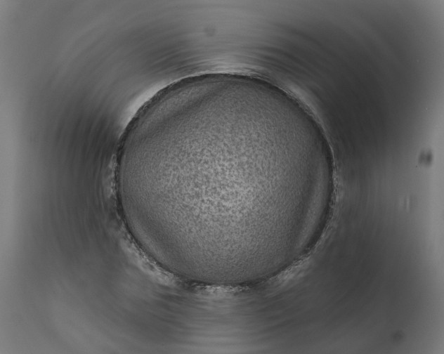 X0000111640875200907311249