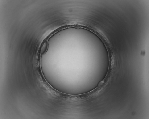 X0000111640876200907311249