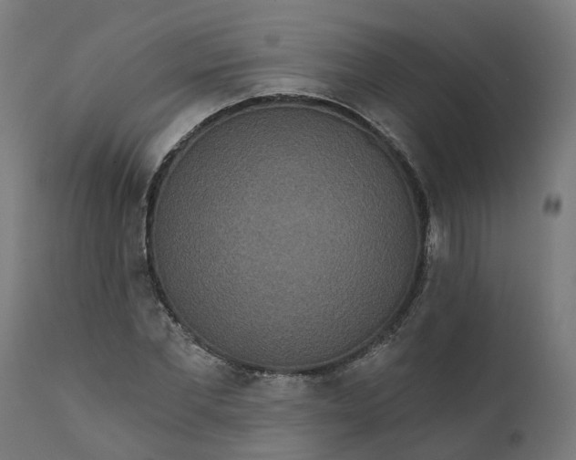 X0000111640877200907311249