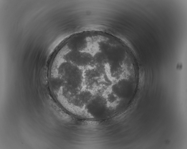 X0000111640878200907311249