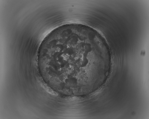 X0000111640879200907311249