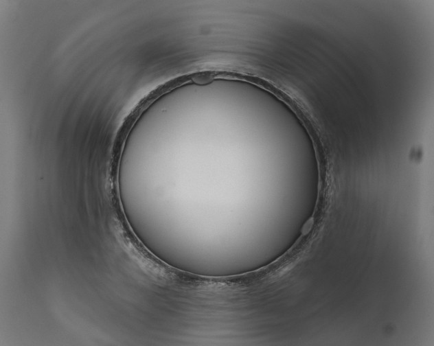 X0000111640880200907311249