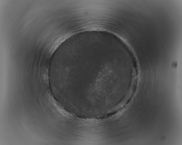 X0000111640881200907311249