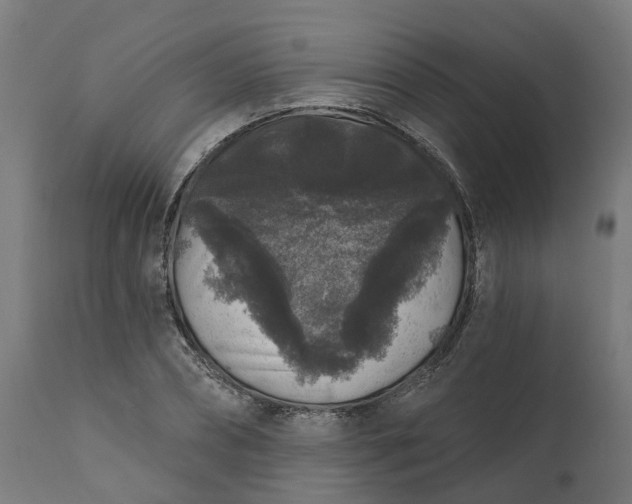 X0000111640882200907311249