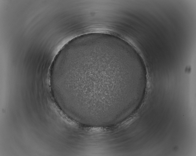 X0000111640883200907311249