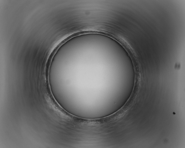 X0000111640884200907311249