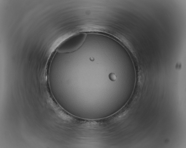 X0000111640885200907311249