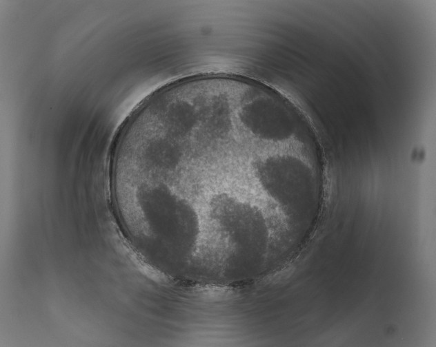 X0000111640886200907311249