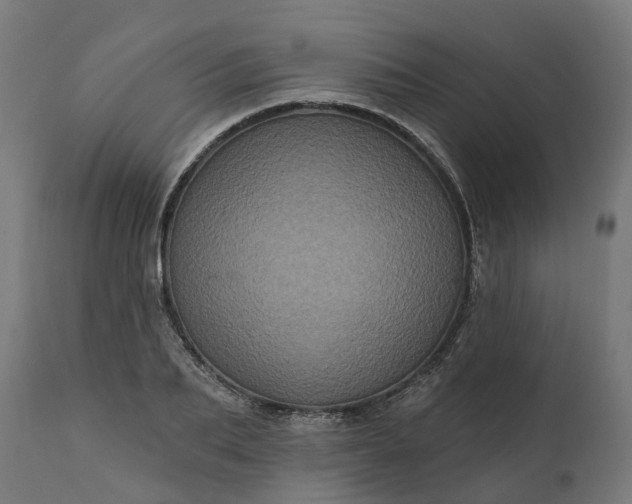 X0000111640887200907311249