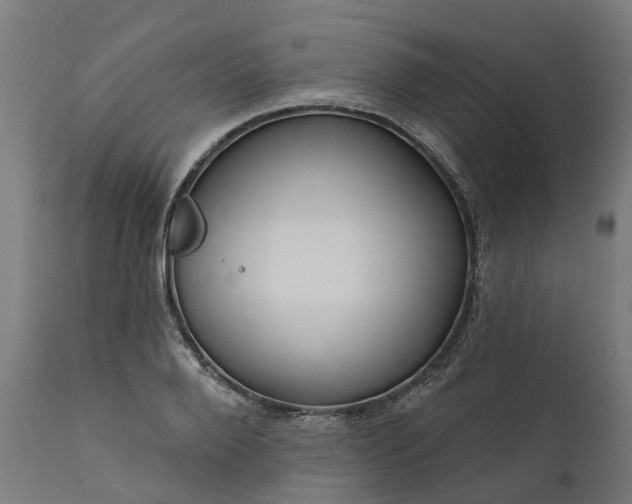 X0000111640888200907311249