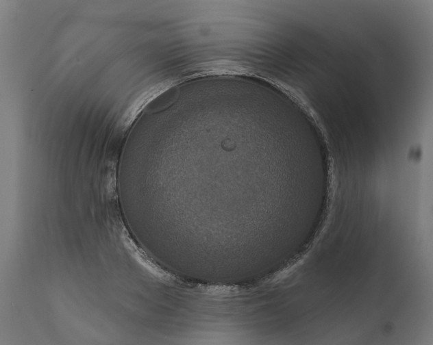 X0000111640889200907311249