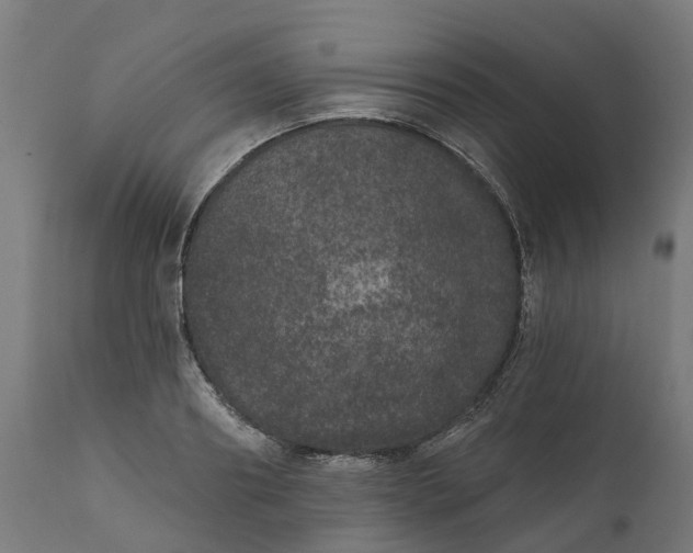 X0000111640890200907311249