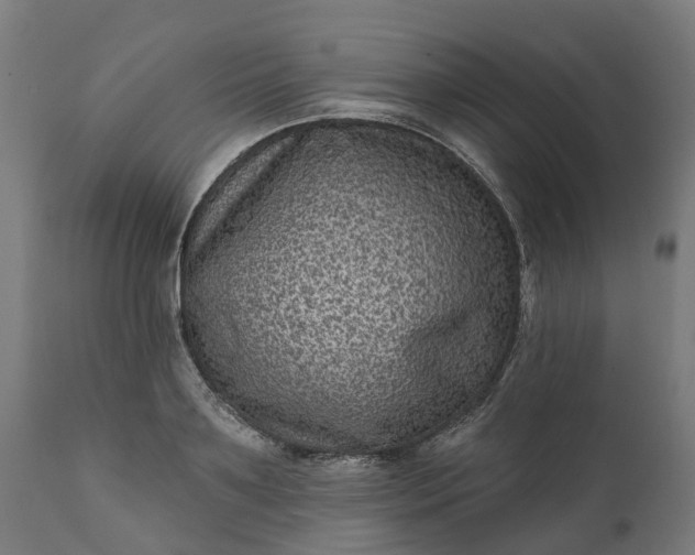 X0000111640891200907311249