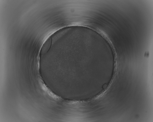 X0000111640892200907311249