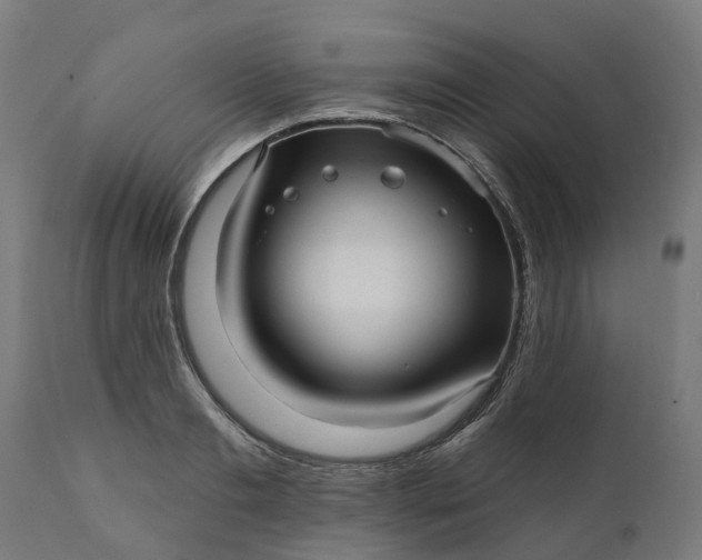 X0000111640893200907311249