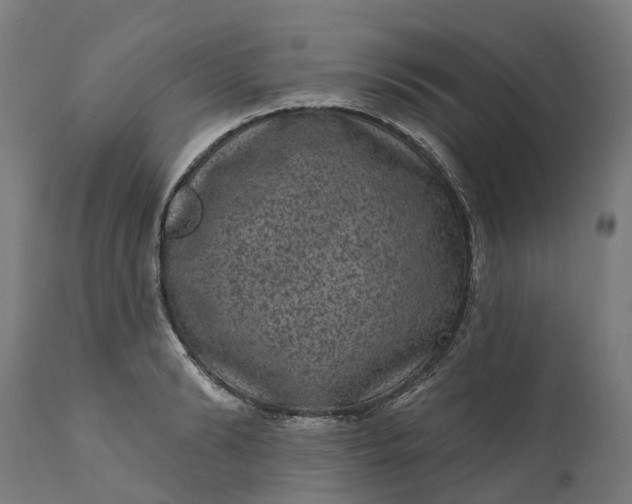 X0000111640894200907311249