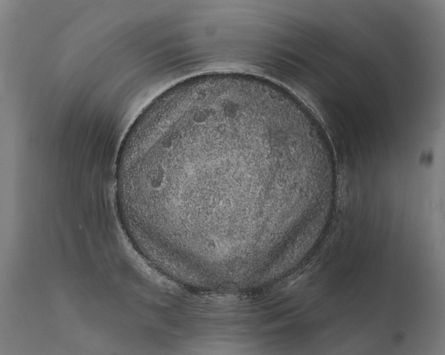 X0000111640895200907311249